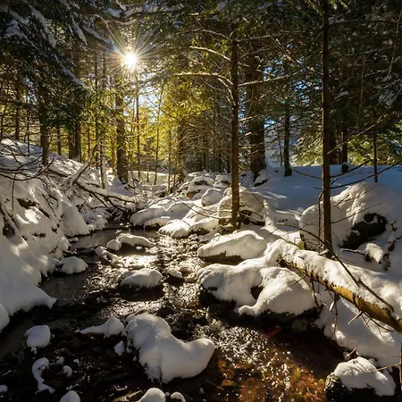 Balaitus By Bevalle Apartment