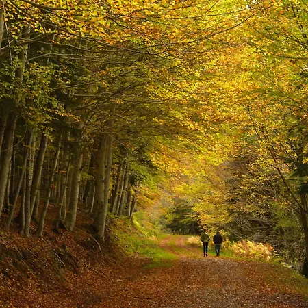 Balaitus By Bevalle Apartment *