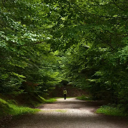 Balaitus By Bevalle Διαμέρισμα *