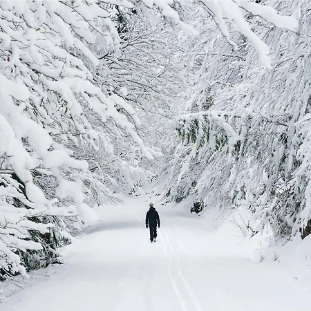 Balaitus By Bevalle Escarrilla