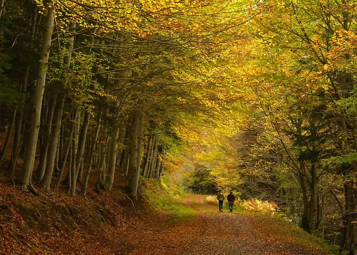 Balaitus By Bevalle Apartment *