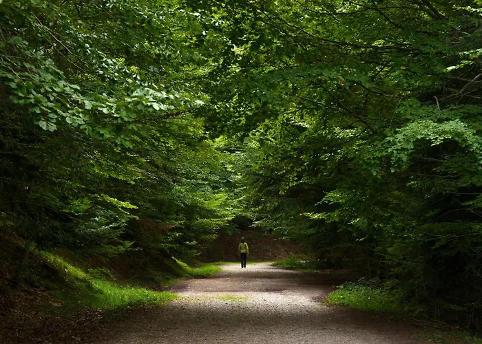 Balaitus By Bevalle Διαμέρισμα *