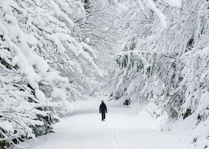 Balaitus By Bevalle Escarrilla