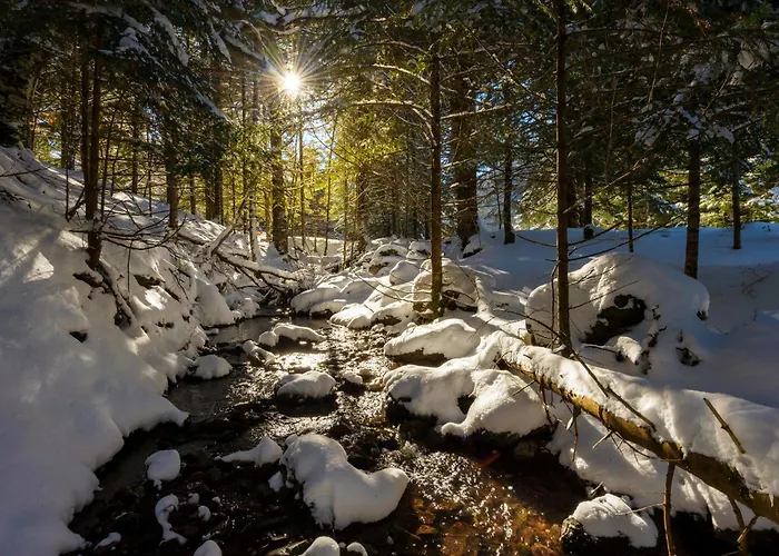 Balaitus By Bevalle Διαμέρισμα *